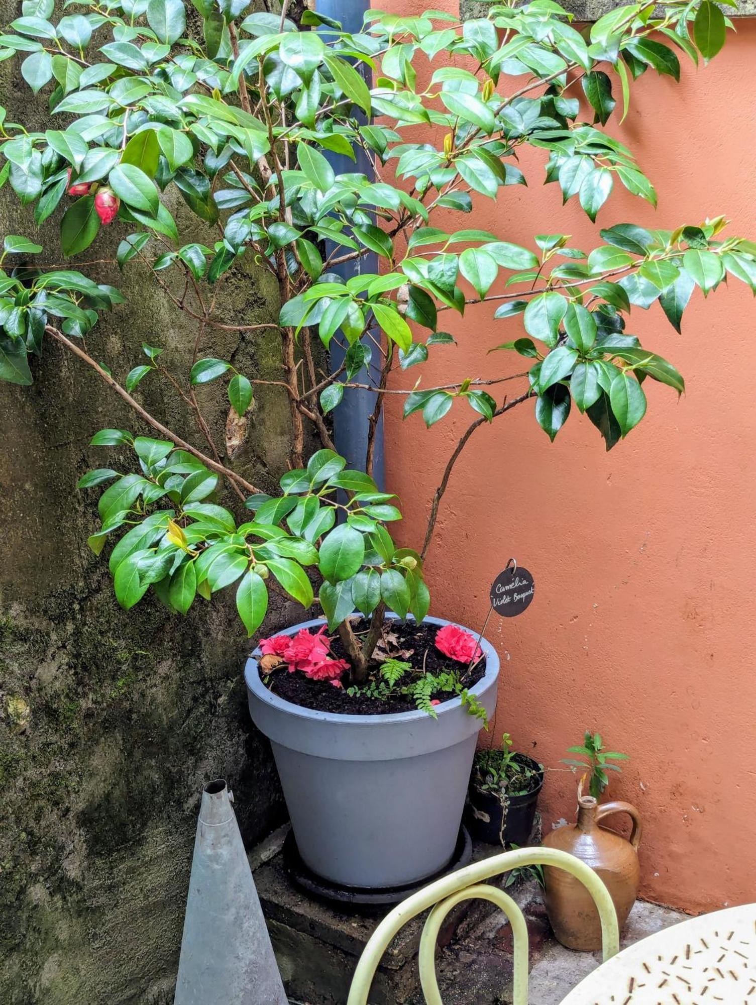 Artist Home - City Center - Bathtub - Terrasse - Full Appartment Rouen Exterior foto